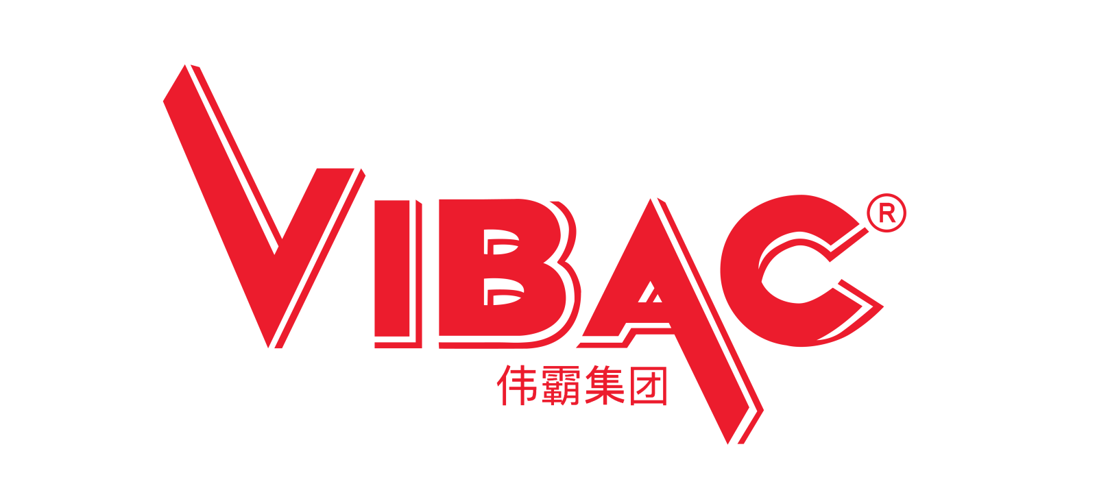 logo vibac group masking tape for china