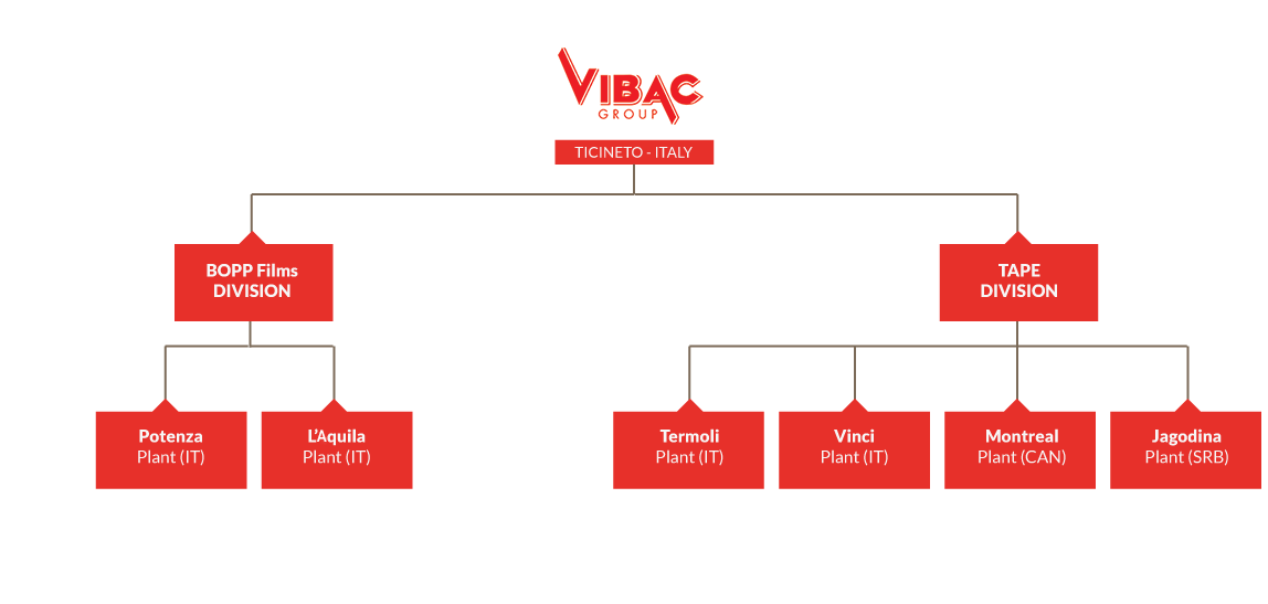 Vibac global structure